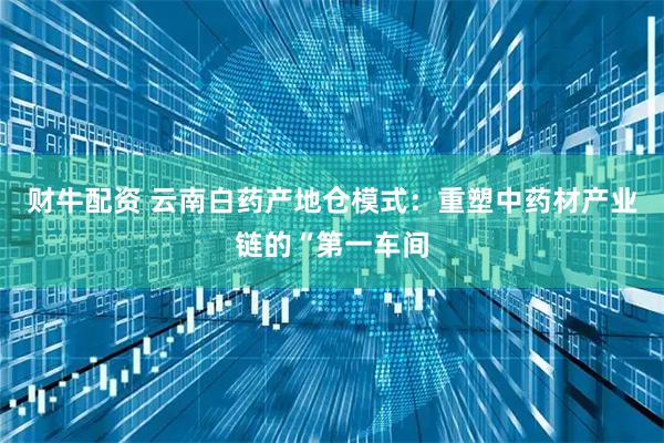 财牛配资 云南白药产地仓模式:重塑中药材产业链的“第一车间