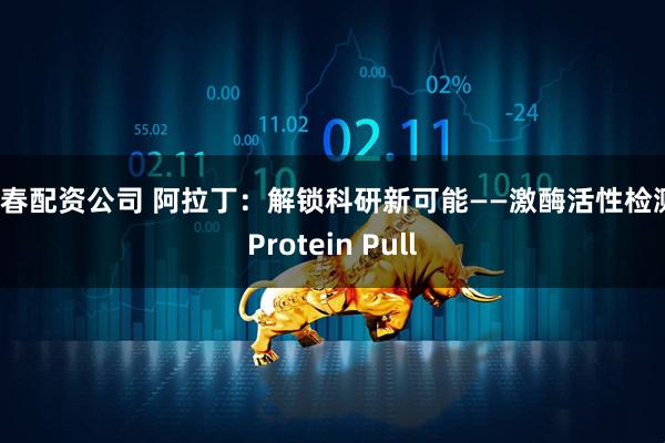 长春配资公司 阿拉丁：解锁科研新可能——激酶活性检测、Protein Pull