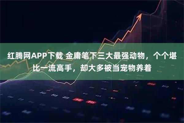 红腾网APP下载 金庸笔下三大最强动物，个个堪比一流高手，却大多被当宠物养着