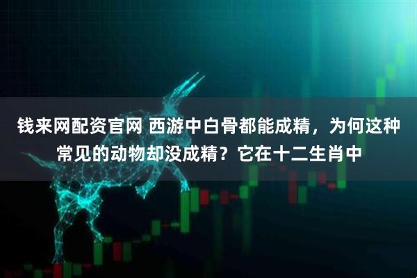 钱来网配资官网 西游中白骨都能成精，为何这种常见的动物却没成精？它在十二生肖中