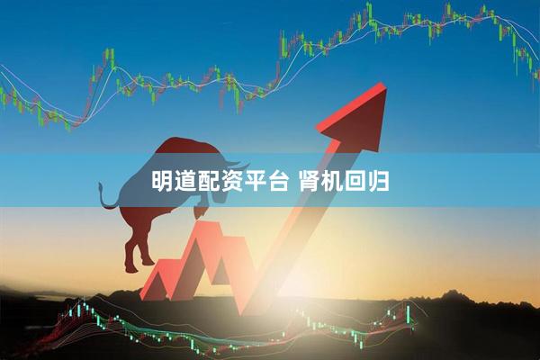 明道配资平台 肾机回归